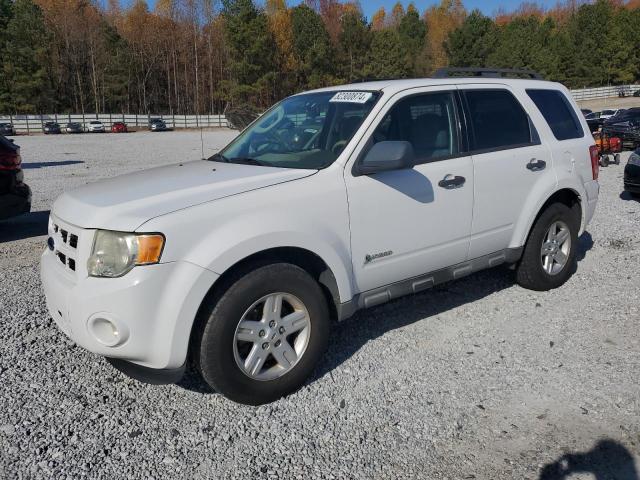 FORD ESCAPE HYB 2009 with VIN 1FMCU49319KD10709 - Photo from auction