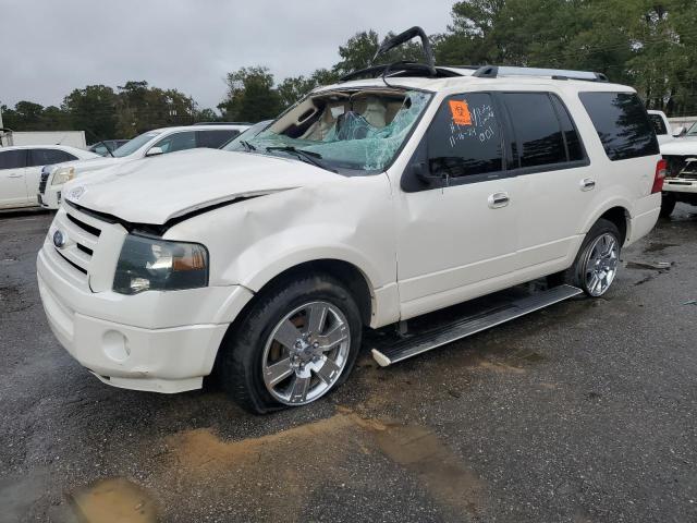 Photo 1 from auction – 2010 FORD EXPEDITION with VIN 1FMJU1K56AEB46586