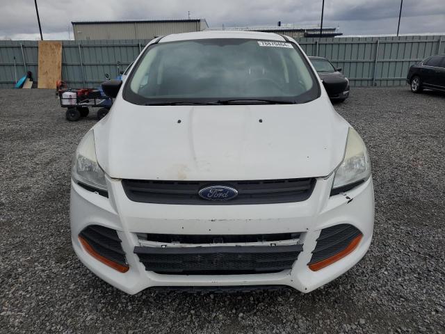 Photo 5 from auction – 2014 FORD ESCAPE S with VIN 1FMCU0F74EUD28250