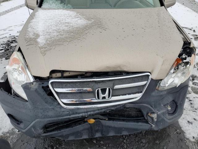 Photo 12 from auction – 2006 HONDA CR-V EX with VIN JHLRD78896C053191