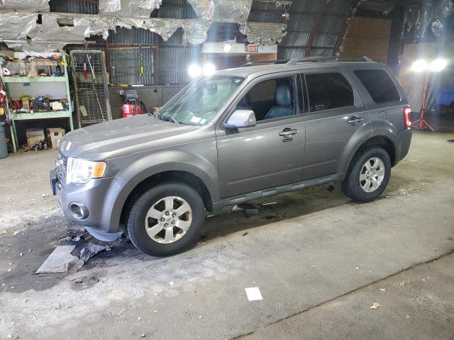 FORD ESCAPE LIM 2011 with VIN 1FMCU0EG1BKA82492 - Photo from auction