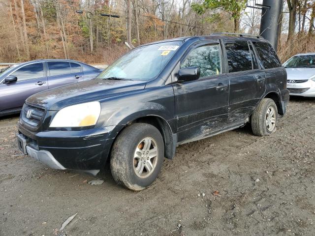 HONDA PILOT EX 2004 with VIN 2HKYF184X4H532816 - Photo from auction
