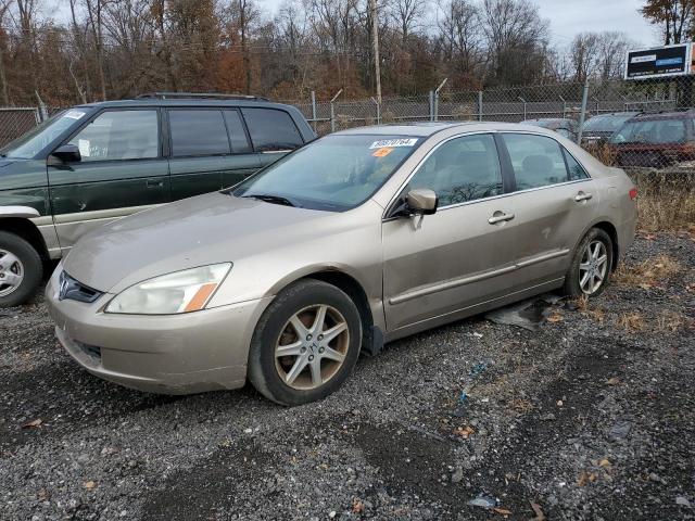 HONDA ACCORD EX 2003 with VIN 1HGCM66593A069907 - Photo from auction