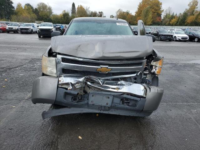 Photo 5 from auction – 2009 CHEVROLET SILVERADO with VIN 1GCEK290X9Z124767