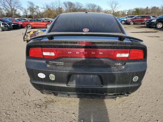 Photo 6 from auction – 2014 DODGE CHARGER R/ with VIN 2C3CDXDT6EH371850