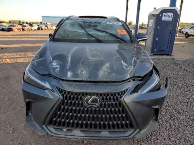 Photo 5 from auction – 2023 LEXUS NX 350 with VIN 2T2AGCEZ7PC029449