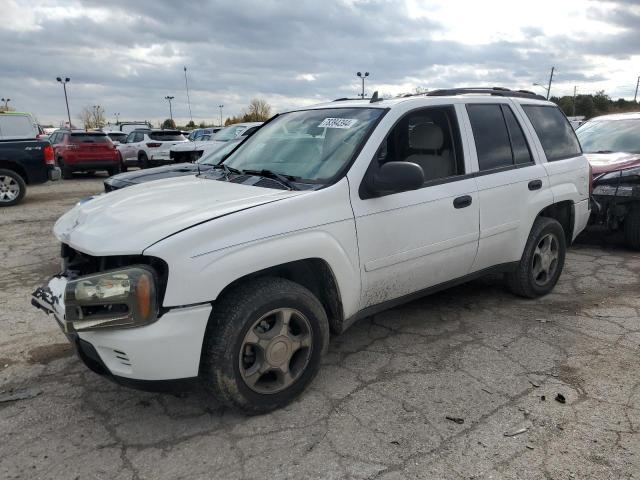 CHEVROLET TRAILBLAZE 2007 with VIN 1GNDT13S072249397 - Photo from auction