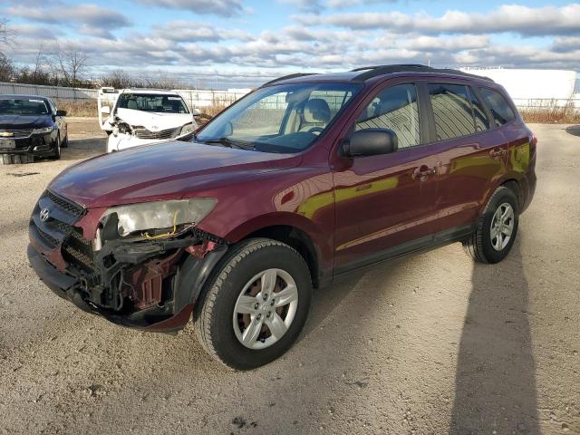 HYUNDAI SANTA FE G 2009 with VIN 5NMSG73D19H253563 - Photo from auction