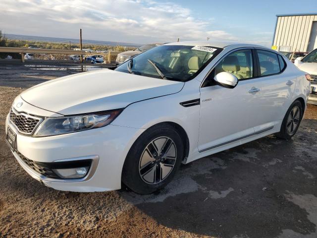 KIA OPTIMA HYB 2013 with VIN KNAGM4AD1D5040492 - Photo from auction