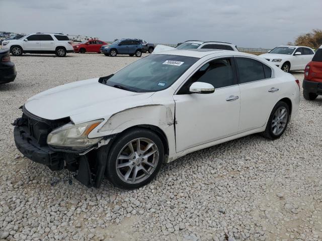 NISSAN MAXIMA S 2011 with VIN 1N4AA5APXBC816604 - Photo from auction