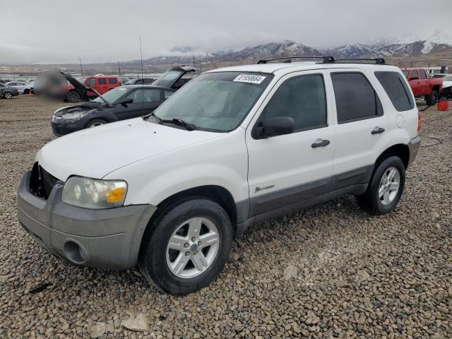 FORD ESCAPE HEV 2006 with VIN 1FMCU96H96KC73563 - Photo from auction