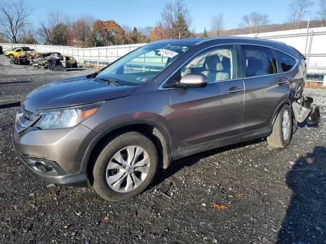 HONDA CR-V EXL 2013 with VIN 5J6RM4H72DL021676 - Photo from auction