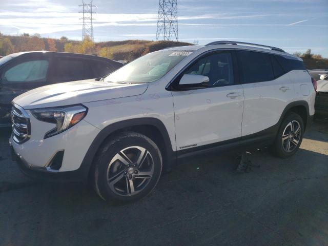 GMC TERRAIN SL 2019 with VIN 3GKALVEVXKL197881 - Photo from auction
