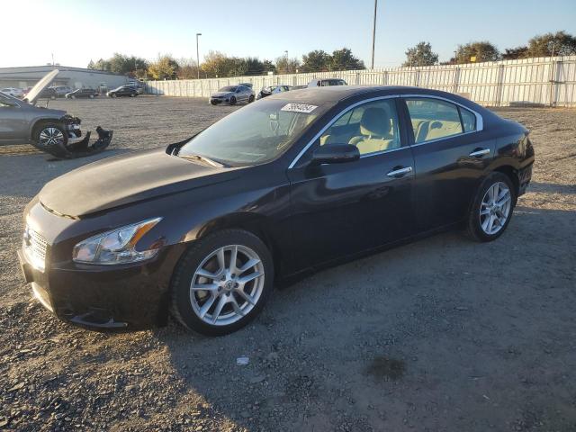 NISSAN MAXIMA S 2011 with VIN 1N4AA5AP6BC857599 - Photo from auction