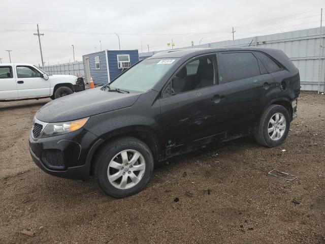 KIA SORENTO LX 2013 with VIN 5XYKTDA28DG338964 - Photo from auction
