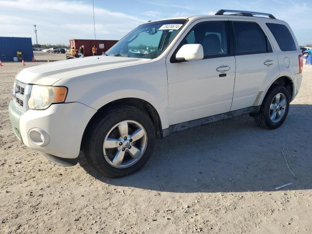 FORD ESCAPE LIM 2010 with VIN 1FMCU0EG6AKB64927 - Photo from auction