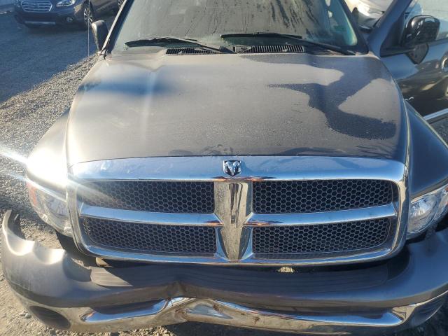 Photo 11 from auction – 2002 DODGE RAM 1500 with VIN 1D7HA18N72S594119