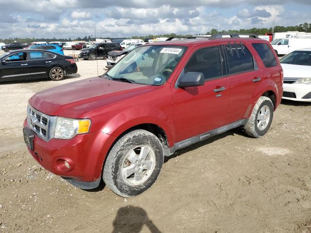 FORD ESCAPE XLT 2011 with VIN 1FMCU0DG1BKB03021 - Photo from auction