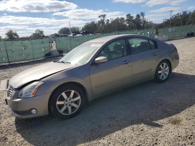 NISSAN MAXIMA SE 2005 with VIN 1N4BA41E75C850579 - Photo from auction