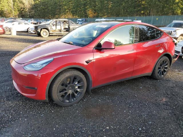 TESLA MODEL Y 2022 with VIN 7SAYGDEE6NF364817 - Photo from auction