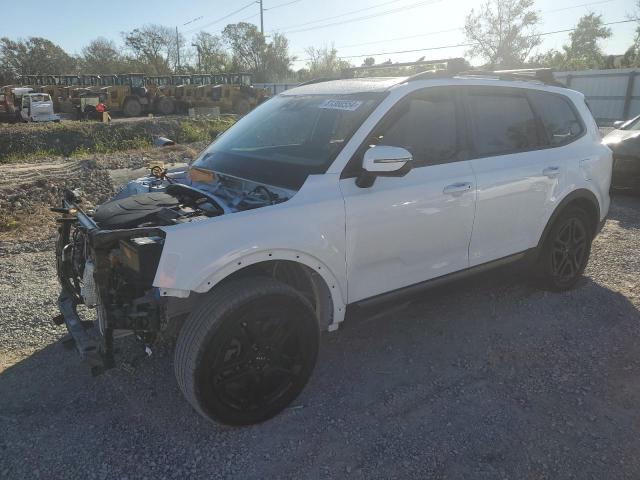 KIA TELLURIDE 2023 with VIN 5XYP3DGC8PG343978 - Photo from auction