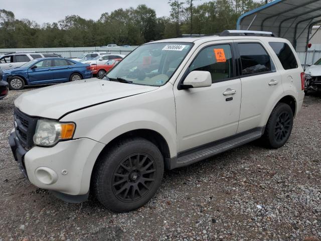 FORD ESCAPE LIM 2011 with VIN 1FMCU9EG3BKB57939 - Photo from auction