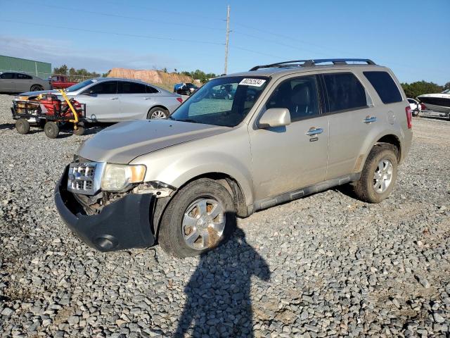 FORD ESCAPE LIM 2011 with VIN 1FMCU0EG2BKA36573 - Photo from auction