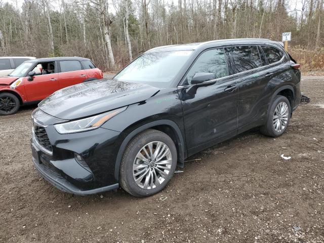 TOYOTA HIGHLANDER 2024 with VIN 5TDKDRBH5RS551667 - Photo from auction