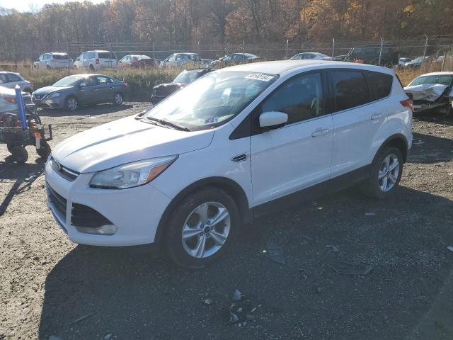 FORD ESCAPE SE 2016 with VIN 1FMCU0GX0GUB09092 - Photo from auction
