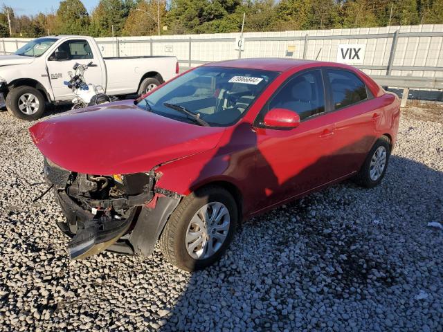 KIA FORTE EX 2013 with VIN KNAFU4A21D5646689 - Photo from auction