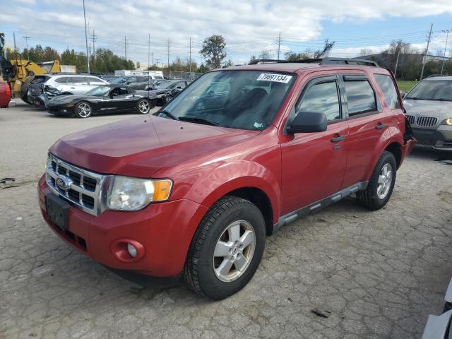 FORD ESCAPE XLT 2010 with VIN 1FMCU0DG0AKA95542 - Photo from auction
