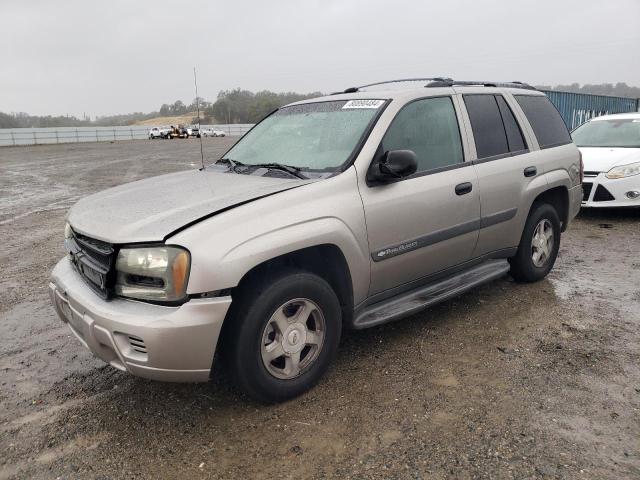CHEVROLET TRAILBLAZE 2003 with VIN 1GNDS13S132397796 - Photo from auction