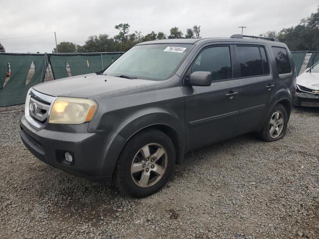 HONDA PILOT EXL 2009 with VIN 5FNYF385X9B013226 - Photo from auction