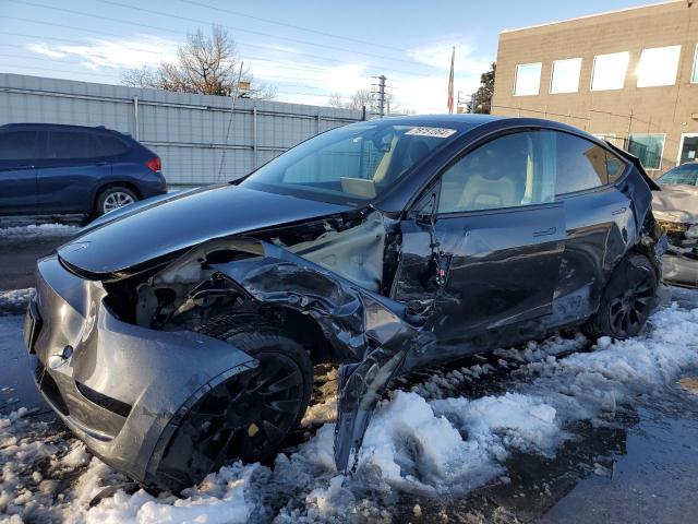 TESLA MODEL Y 2024 with VIN 7SAYGDED6RF113227 - Photo from auction