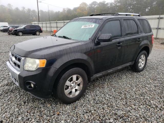 FORD ESCAPE LIM 2010 with VIN 1FMCU0E73AKA71945 - Photo from auction