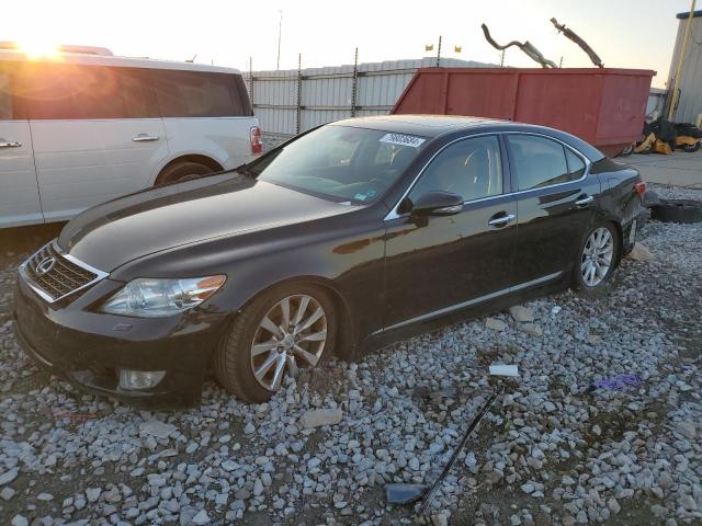 LEXUS LS 460 2010 with VIN JTHCL5EF5A5005812 - Photo from auction