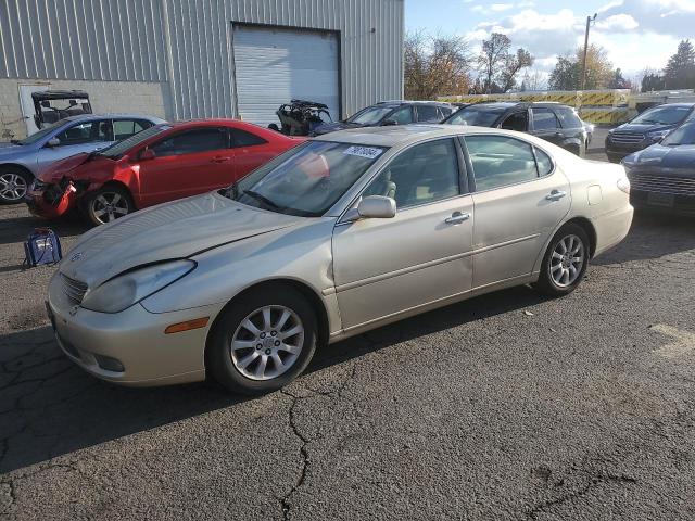 LEXUS ES 300 2003 with VIN JTHBF30G530096345 - Photo from auction