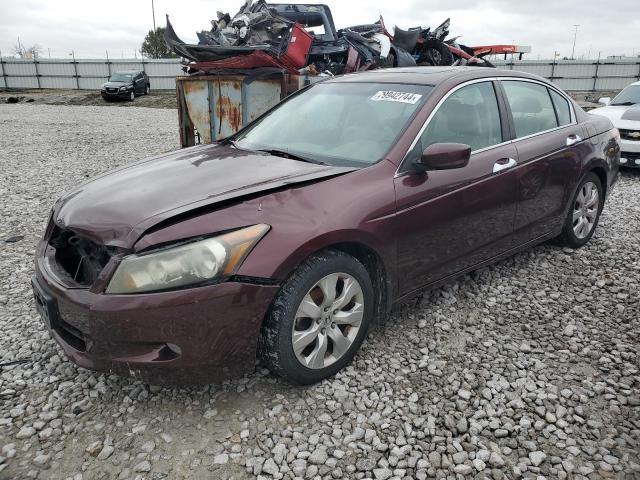 HONDA ACCORD EXL 2010 with VIN 5KBCP3F86AB018319 - Photo from auction