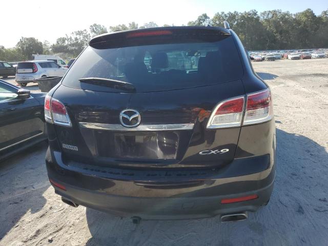 Photo 6 from auction – 2009 MAZDA CX-9 with VIN JM3TB28A490180345