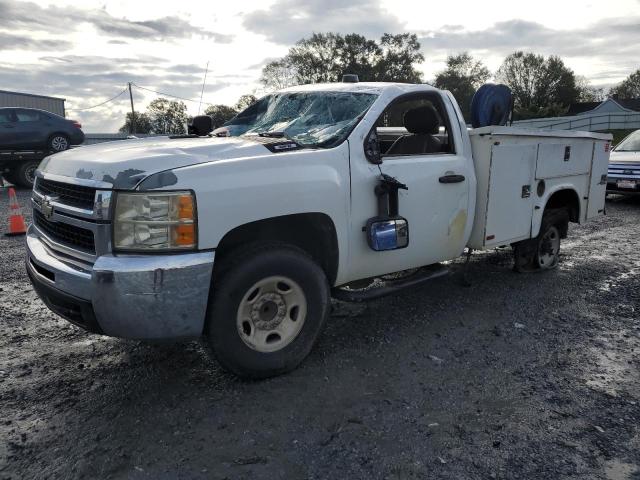 CHEVROLET SILVERADO 2010 with VIN 1GB3CVBK5AF133582 - Photo from auction