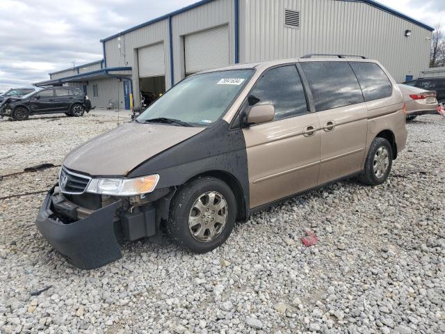 HONDA ODYSSEY EX 2003 with VIN 5FNRL18683B017101 - Photo from auction