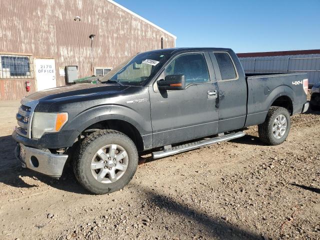 FORD F150 SUPER 2014 with VIN 1FTFX1EF3EFB75663 - Photo from auction