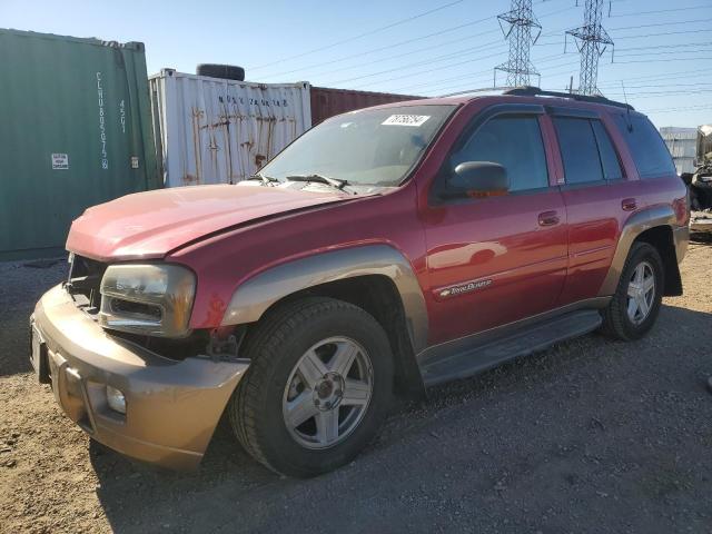 CHEVROLET TRAILBLAZE 2002 with VIN 1GNDT13S722408490 - Photo from auction