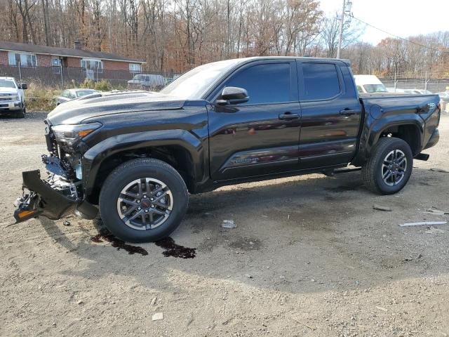 TOYOTA TACOMA DOU 2024 with VIN 3TMLB5JN8RM052596 - Photo from auction