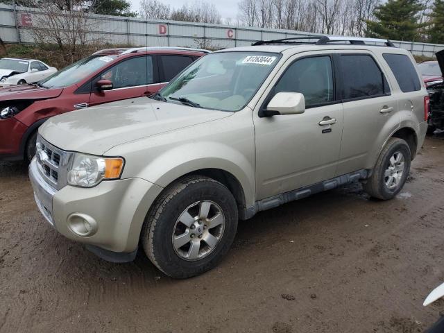 FORD ESCAPE LIM 2010 مع رقم تعريف المركبة 1FMCU0E77AKA33781 - صورة من المزاد