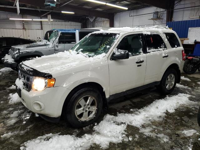 FORD ESCAPE XLT 2011 with VIN 1FMCU0DGXBKC70350 - Photo from auction