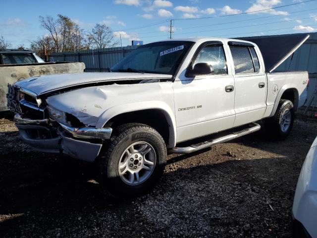 DODGE DAKOTA QUA 2002 with VIN 1B7HG48Z02S670101 - Photo from auction