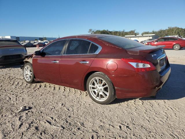 Photo 2 from auction – 2009 NISSAN MAXIMA S with VIN 1N4AA51E79C808646