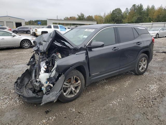 GMC TERRAIN SL 2019 with VIN 3GKALMEV6KL153757 - Photo from auction