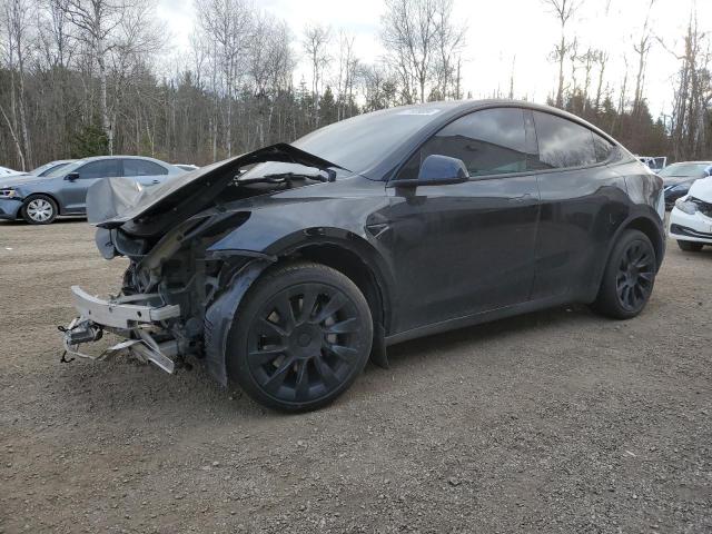 TESLA MODEL Y 2022 with VIN 7SAYGDEE0NF534959 - Photo from auction